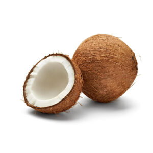 Dried-Coconut