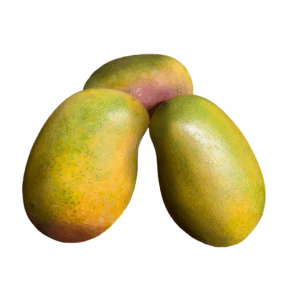 East-Indian-Mango
