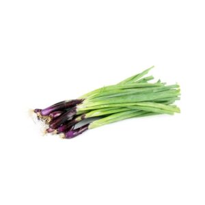 Escallion