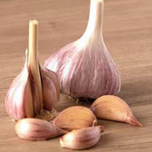Garlic-Music