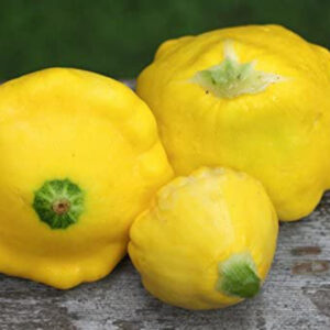 Patty-Pan-Squash (Summer)
