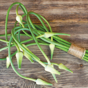Garlic-scape
